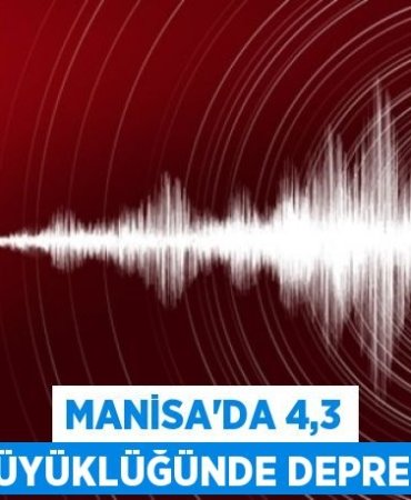 23391293402948231934tasarimli