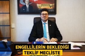 23544219052944230410tasarimli