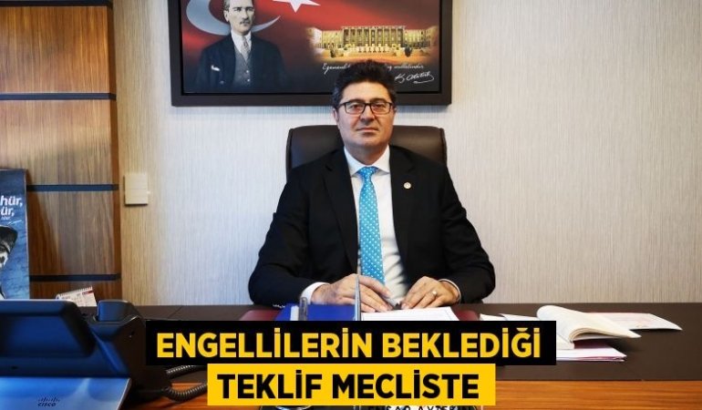 23544219052944230410tasarimli