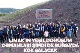 23653279753080131898