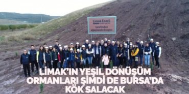 23653279753080131898