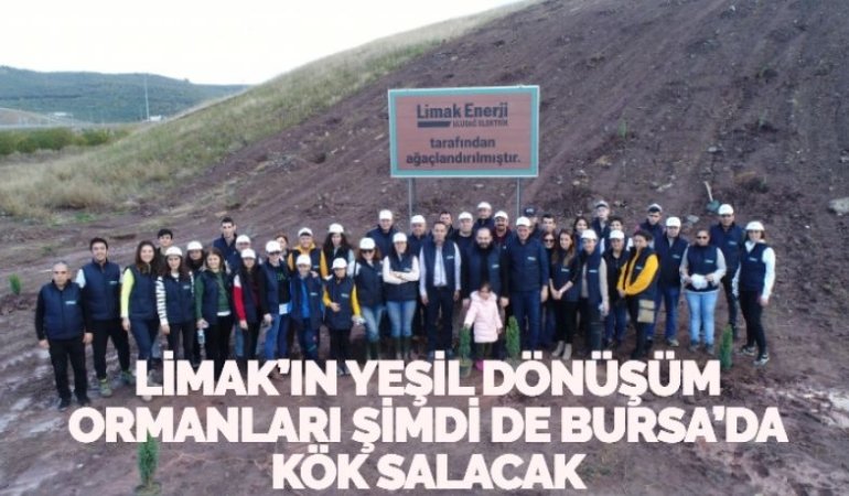 23653279753080131898