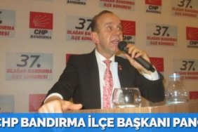 23674267582069326961