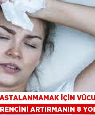 23790230602972525356tasarimli