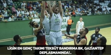 23901317192437429654