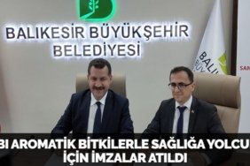 23937210743104425004