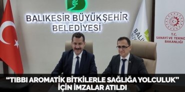 23937210743104425004