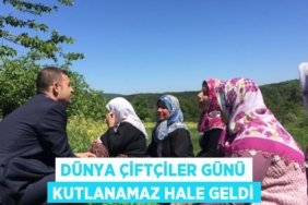 24043298312863127660tasarimli