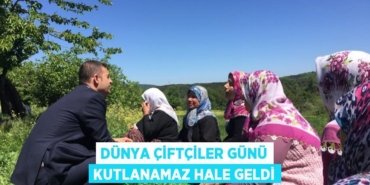 24043298312863127660tasarimli