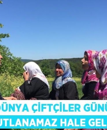 24043298312863127660tasarimli