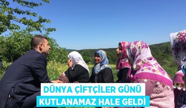 24043298312863127660tasarimli