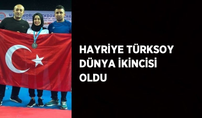 24353279782638228191