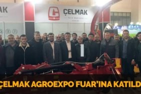 24505239422355622819