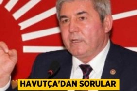 Havutça’dan sorular
