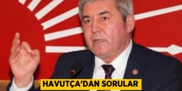 Havutça’dan sorular