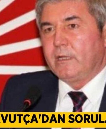 Havutça’dan sorular