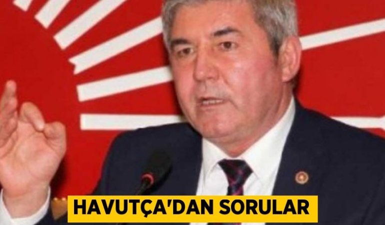 Havutça’dan sorular