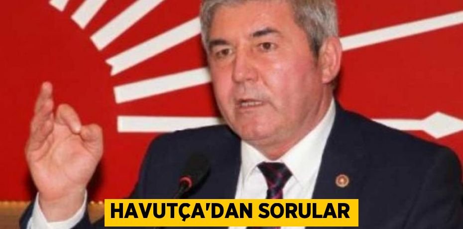 Havutça’dan sorular
