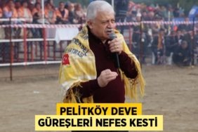 24567270802493622145tasarimli