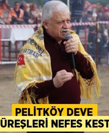 24567270802493622145tasarimli