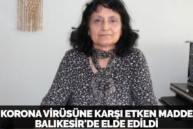 25185232592857731160