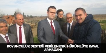 25261287172389828680