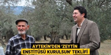 25306280172021921194tasarimli