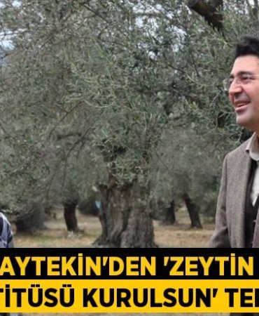 25306280172021921194tasarimli