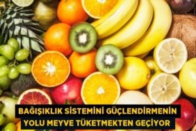 25678241562417525097tasarimli