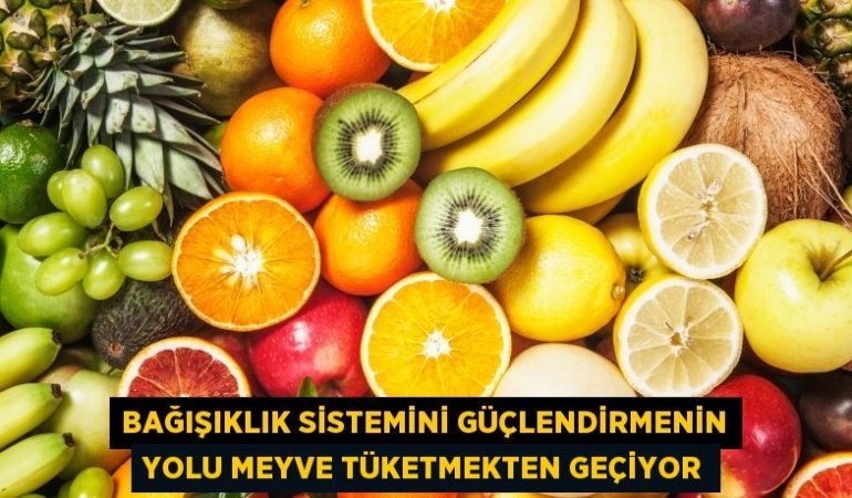 25678241562417525097tasarimli