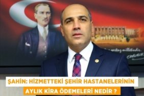 25865302552425127559tasarimli