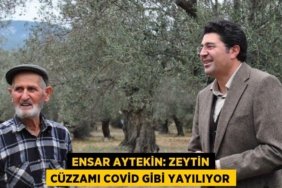 25886221432558528690tasarimli