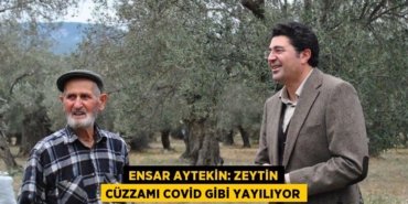 25886221432558528690tasarimli