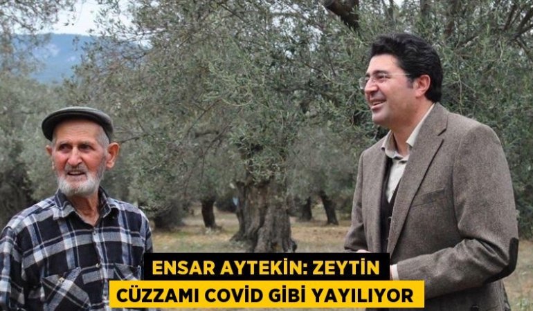 25886221432558528690tasarimli