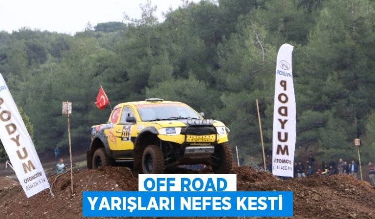 25944224643097030380tasarimli