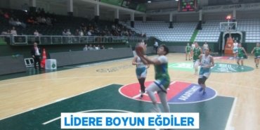 25947287712287324538