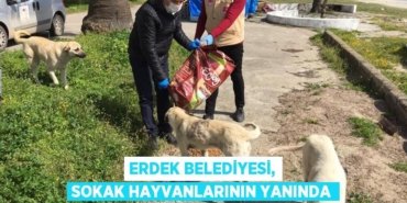 26004319432163322837tasarimli