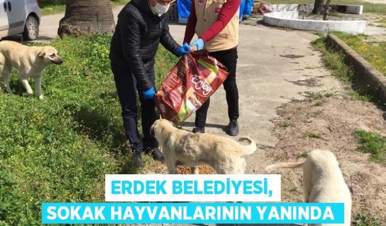 26004319432163322837tasarimli