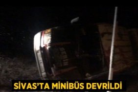 26418241672690527590