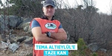 26545318542286730622tasarimli