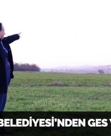 26729278363127825087