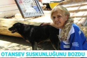 27071301432720724113