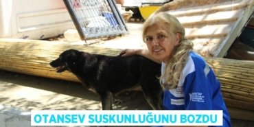 27071301432720724113