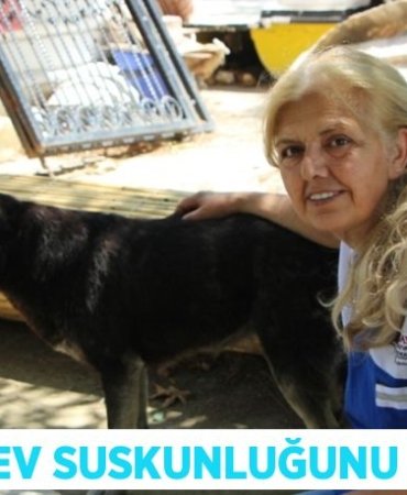 27071301432720724113