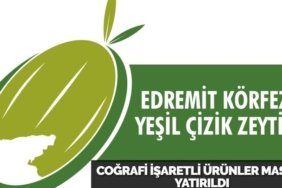 27396227762230020194