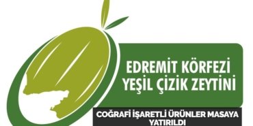 27396227762230020194