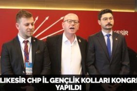 27486239342883120011