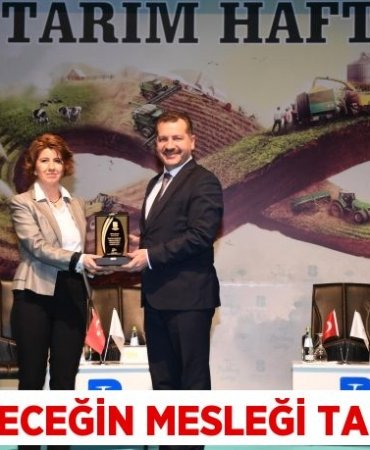 27878301713070329743