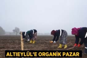 27986273042743025070