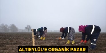 27986273042743025070